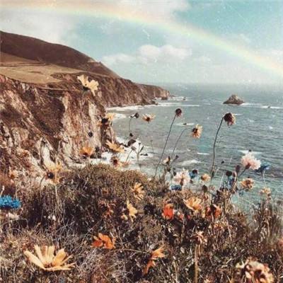 窗口期只有一年？“龙虾”竞速背后的AI暗战：京东另辟“产业端”解法，能后来居上吗？